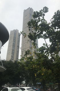 世茂茶亭臻園綜合評析：優點、不足及周邊中介評價